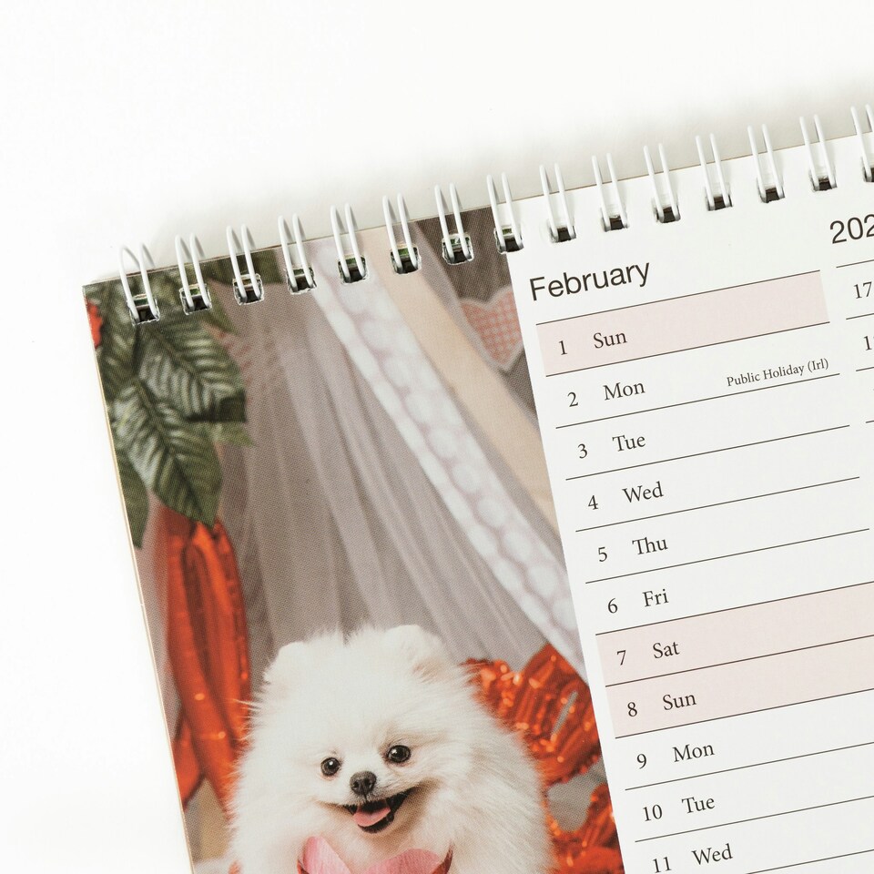 image 1 of 2026 Desk Calendar Puppies Design