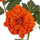 image 3 of Orange African Marigold Large Spray Artificial Flower - Plastic - L11 x W11 x H100 cm - Red
