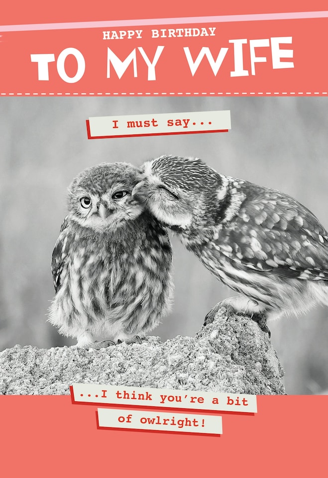 image 1 of I Think You're A Bit Of Owlright! - Funny Wife Birthday Card