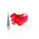 image 2 of Dt Single Painted Poppy Birthday Card