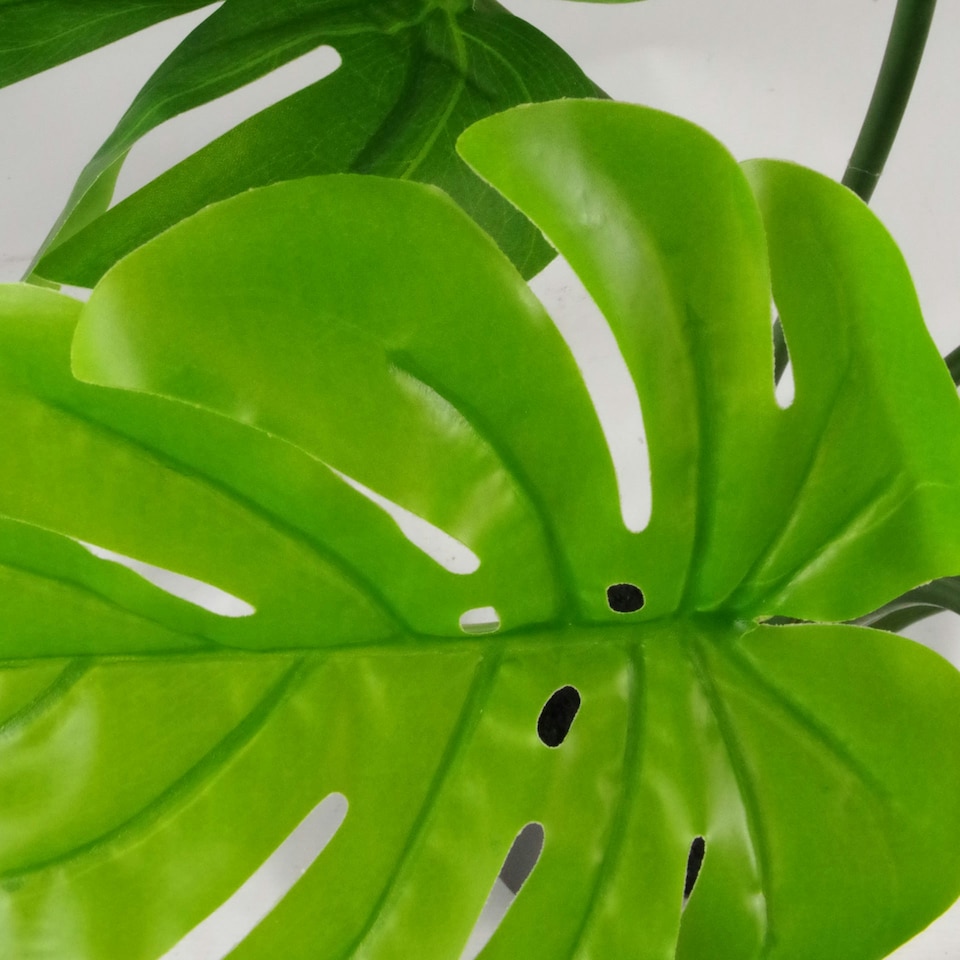image 1 of Artificial Monstera Plant Twisted Cheese Plant 70cm Leaf Design UK Realistic Botanik