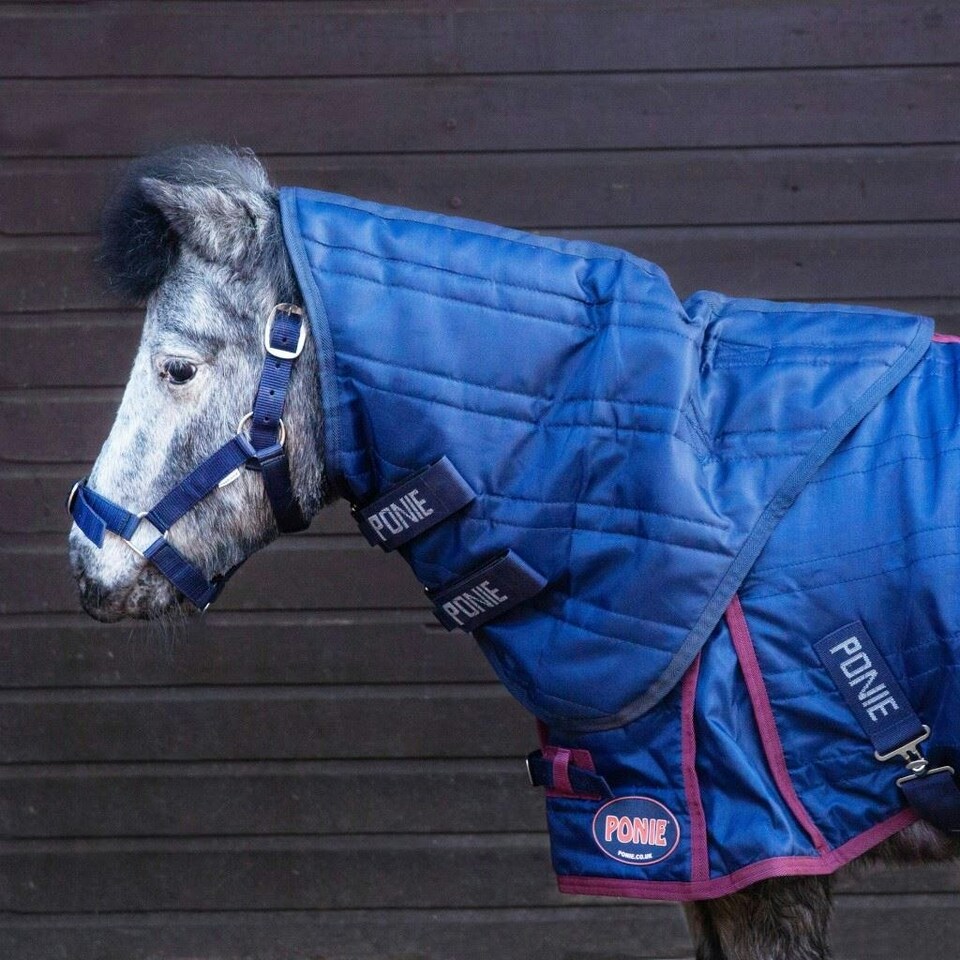 Gallop Equestrian Ponie 50G Stable Neck Cover Blue | Size: XX-Small
Colour: Navy