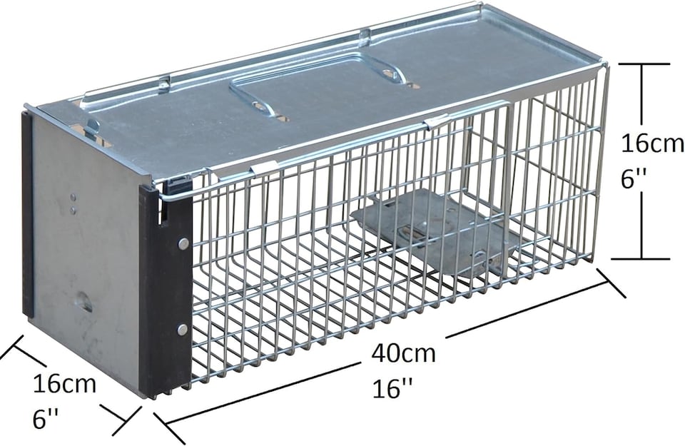 image 1 of Actiaspet - Heavy Duty Rat Trap/Metal Live Catch Cage with Transport Handle | Humane Rodent Catcher