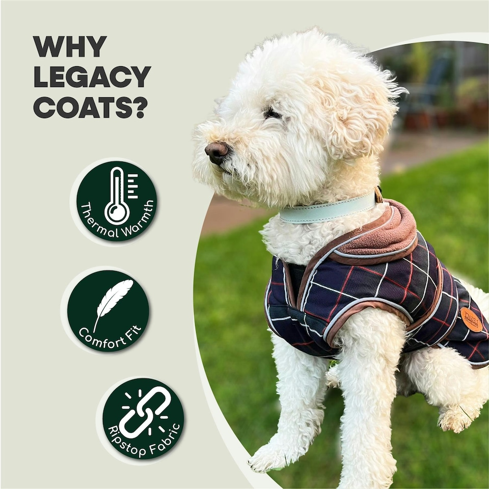 image 1 of HugglePets Legacy Tartan Dog Coat | Multi | M
