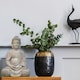 image 8 of Sitting in Meditation Buddha Brown Indoor and Outdoor Statue&nbsp;L30 W24 H41 cm