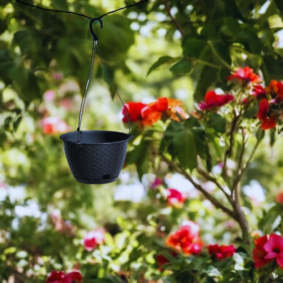 image 1 of Ratolla Round Hanging Plastic Planter - 14.2x21.7x21.7 cm | Black | Black & Set of 2 | 2