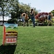 image 2 of Westland Moss Master Natural Moss Remover and Slow-Release Lawn Feed 400 sqm