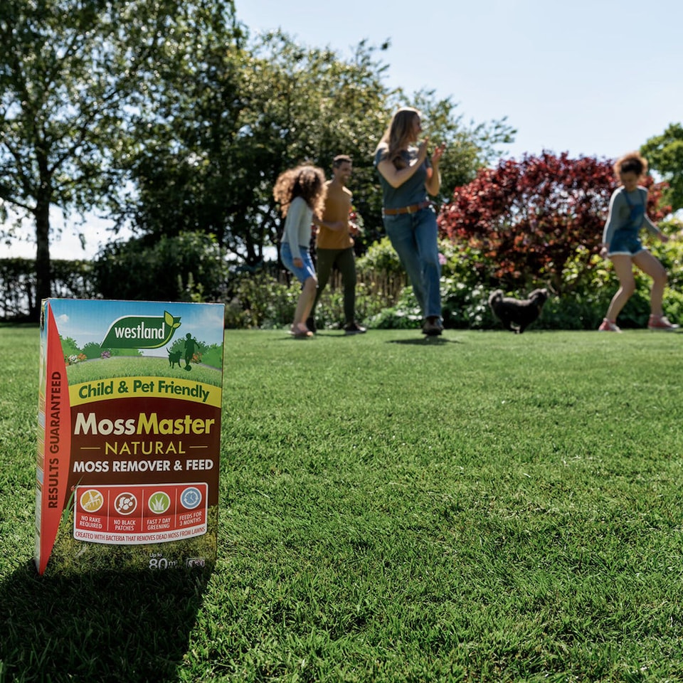 image 1 of Westland Moss Master Natural Moss Remover and Slow-Release Lawn Feed 400 sqm
