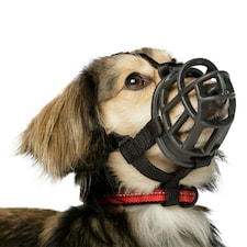 Baskerville Ultra Dog Muzzle - Black - 6