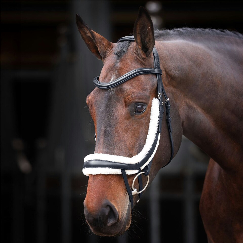 image 1 of Shires Rapida Fleece Curved Flash Noseband Brown | Size: Pony
Colour: H.Brown