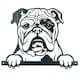 image 5 of Black Metal Peeking Bulldog Silhouette with Fixing Plate Garden Ornament Gift
