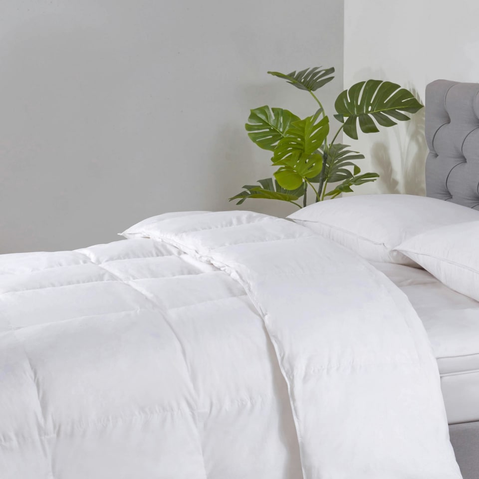 image 1 of BHS 10.5 Tog Goose Feather and Down Single Duvet, White | Multi