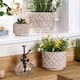image 2 of Set of 3 Beige Textured Floral Plant Pots Brown | Beige