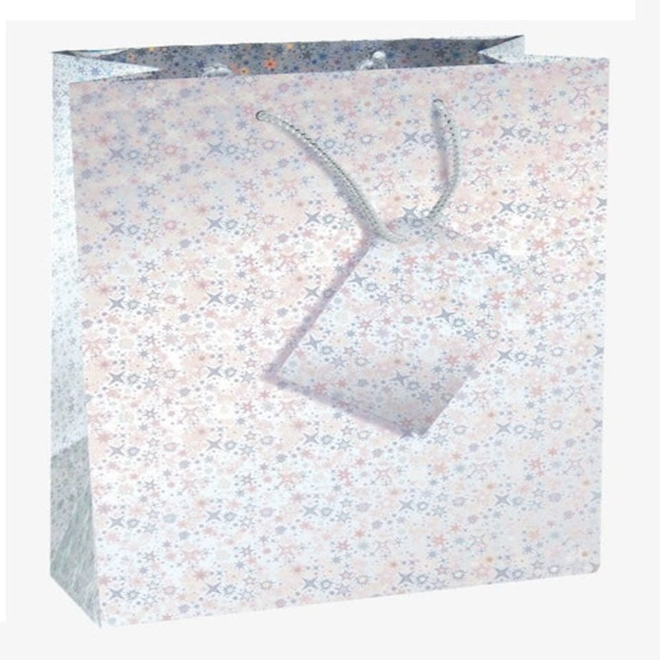image 1 of Pack of 12 Large Assorted Coloured Holographic Gift Bags
