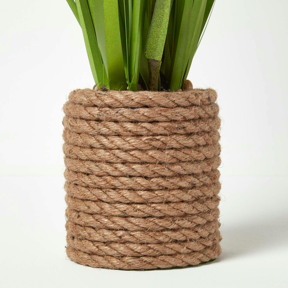 image 1 of Homescapes Artificial Open Flower Grass Plant In Rope Pot, 74 cm Tall
