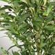 image 5 of 160cm Artificial Olive Tree 1296 Leaves 72 Olives | Green | 5ft