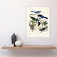 image 4 of Magpie Clarks Crow and Jays Audubon Nature Huge Wall Art Print 18X24 In