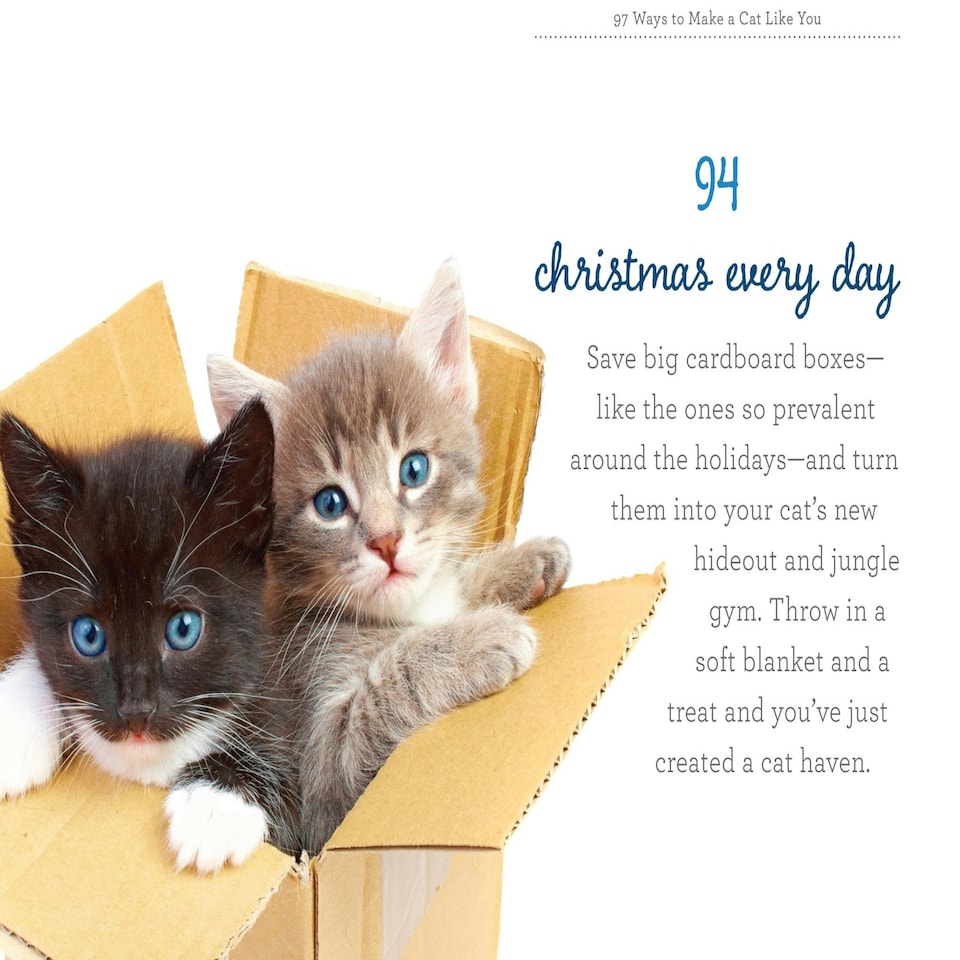 image 1 of 97 Ways To Make A Cat Like You