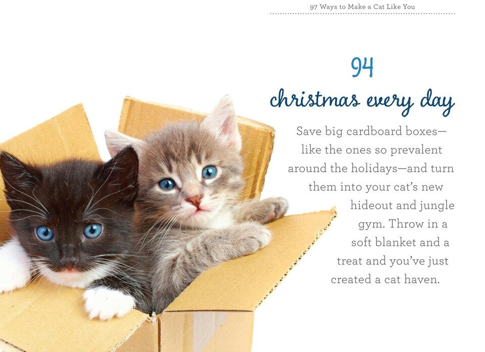 image 1 of 97 Ways To Make A Cat Like You