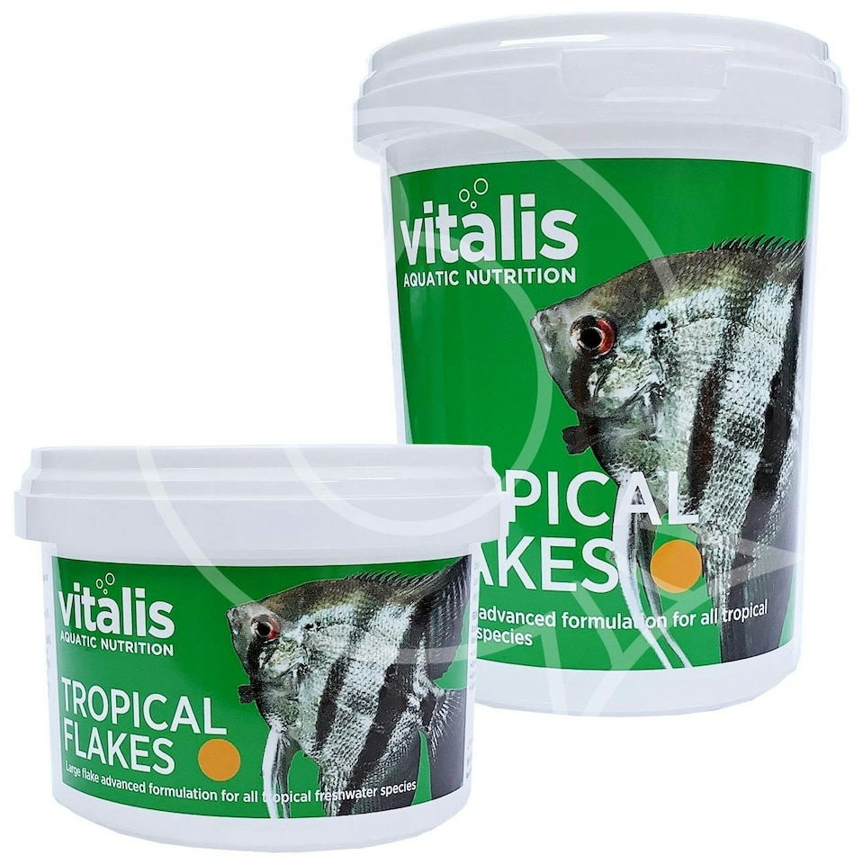 image 1 of Vitalis Tropical Flakes | Clear