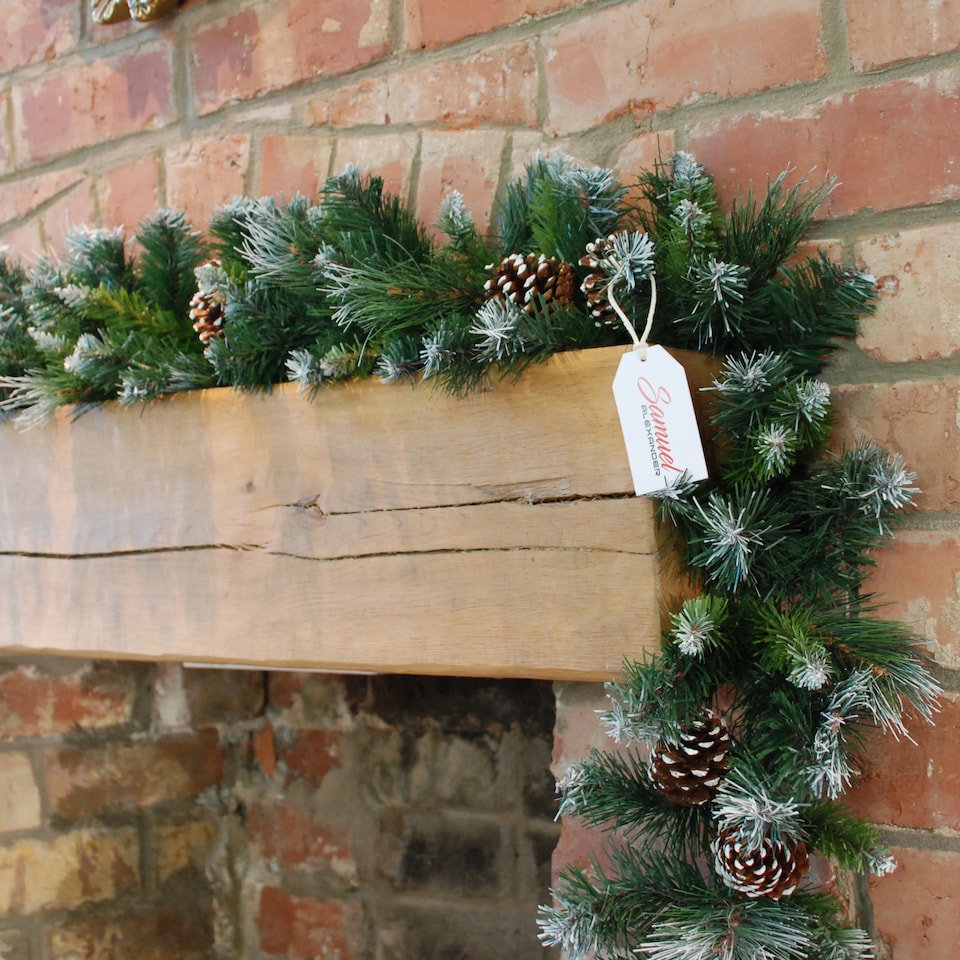 image 1 of 270cm x 25cm Samuel Alexander Frosted Glacier Christmas Garland with Pine Cones
