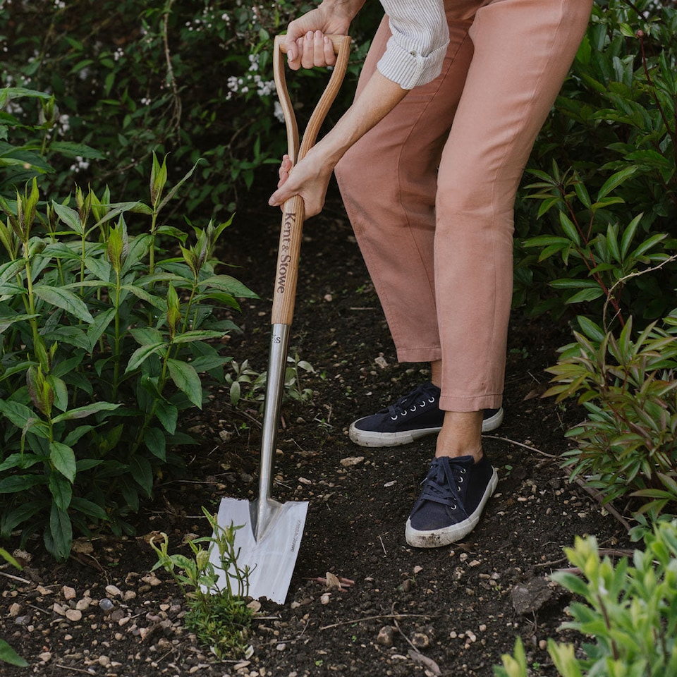 image 1 of Kent & Stowe - Stainless Steel Garden Life Digging Spade, FSC | Silver