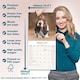 image 6 of Basset Hound 2026 Calendar | Square Wall Calendar | Dog Breed Gift | Plastic Free Packaging | by Avonside Publishing