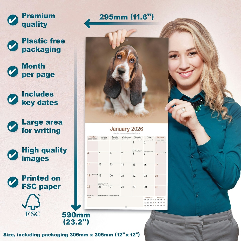 image 1 of Basset Hound 2026 Calendar | Square Wall Calendar | Dog Breed Gift | Plastic Free Packaging | by Avonside Publishing