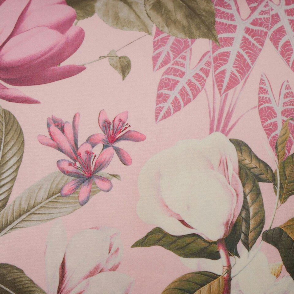 image 1 of OHS 2 x Floral Botanics Matte Velvet Filled Cushions, 45x45cm - Blush Pink Pink | Blush Pink | 45x45cm