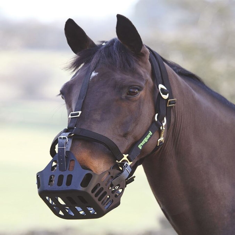 image 1 of Shires Greenguard Headcollar Black | Size: Cob
Colour: Black