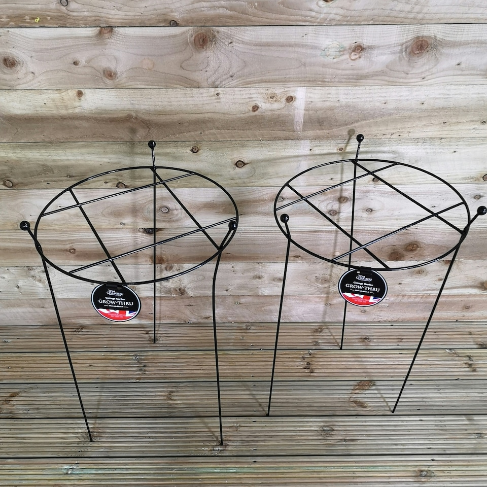 image 1 of Pack of 2 Tom Chambers Cottage Heavy Duty Black Metal Steel Herbaceous Garden Plant Support Grow Through Large 80cm x 45cm