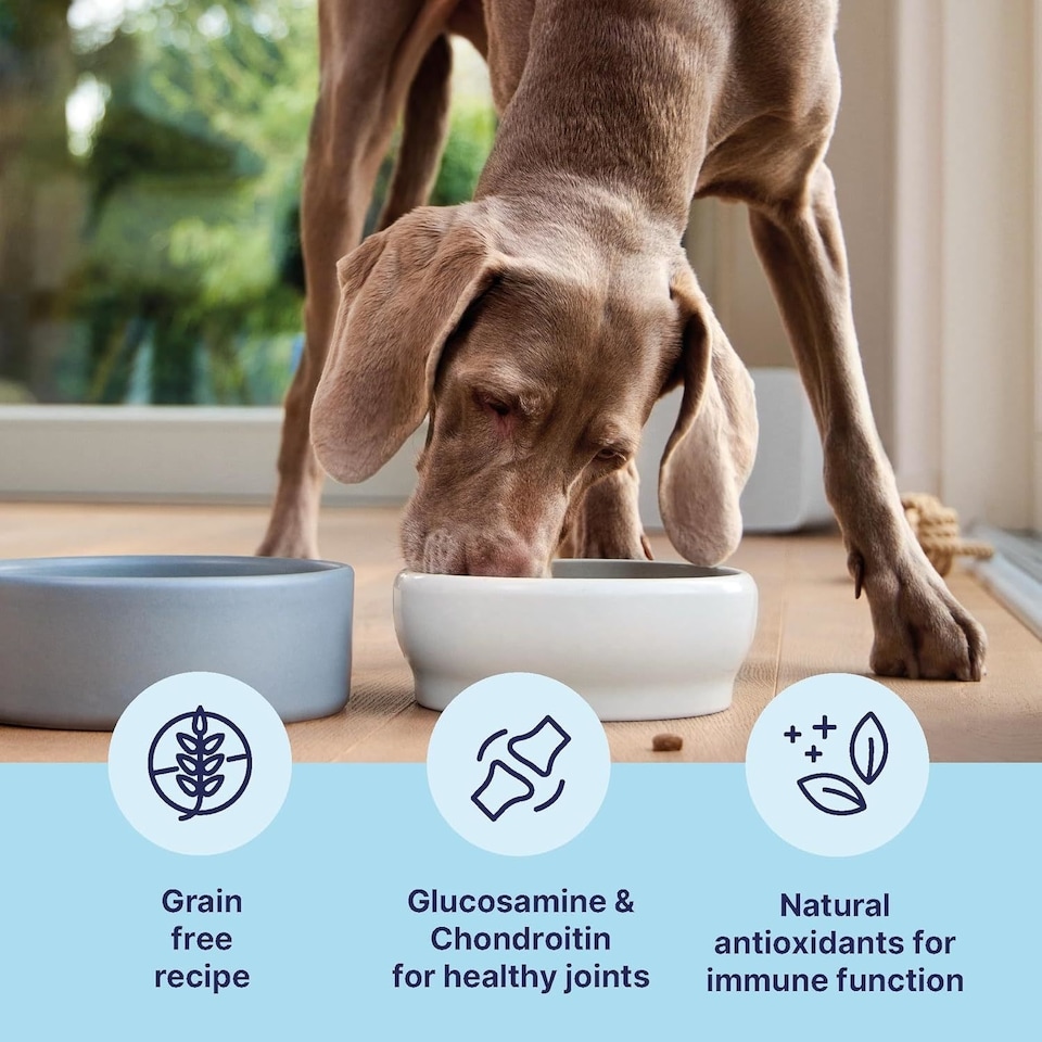 image 1 of Tails.com Inner Vitality Dry Dog Food Mature Sensitive Salmon 4 x 2kg