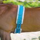 image 1 of Shires Nylon Roller With Fleece Padding Blue | Size: X-Full
Colour: Blue
