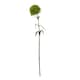 image 1 of Light Dianthus (Single Stem Flower) - Plastic - Height 53 cm - Green