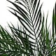 image 2 of Areca Palm Tree UV Resistant Outdoor 125cm  - Realistic plant by Botanik | Green | 4ft