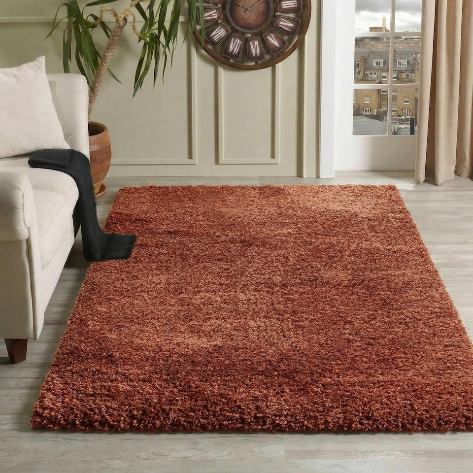 image 1 of Desire Rugs Plain Living Room Fluffy Shaggy Area Rugs