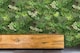 image 3 of True Products Premium Artificial Living Wall Green Plant Panel 1m x 1m - Gala C