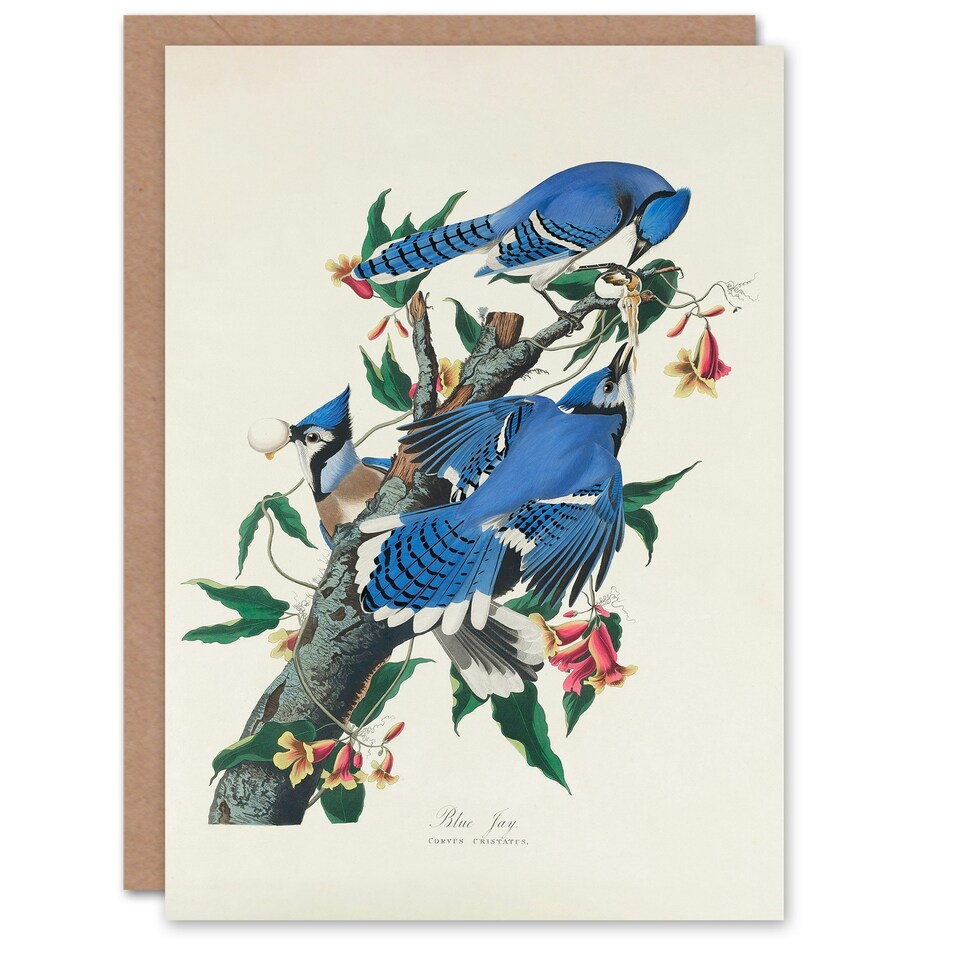 image 1 of John James Audubon Art Card Blue Jay and Trumpet Flowers