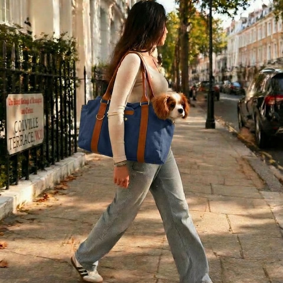 image 1 of Tails of Glory Jane Bag Blue