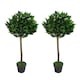 image 1 of Pair of 90cm (3ft) Plain Stem Artificial Topiary Bay Laurel Ball Trees | Green | 3ft