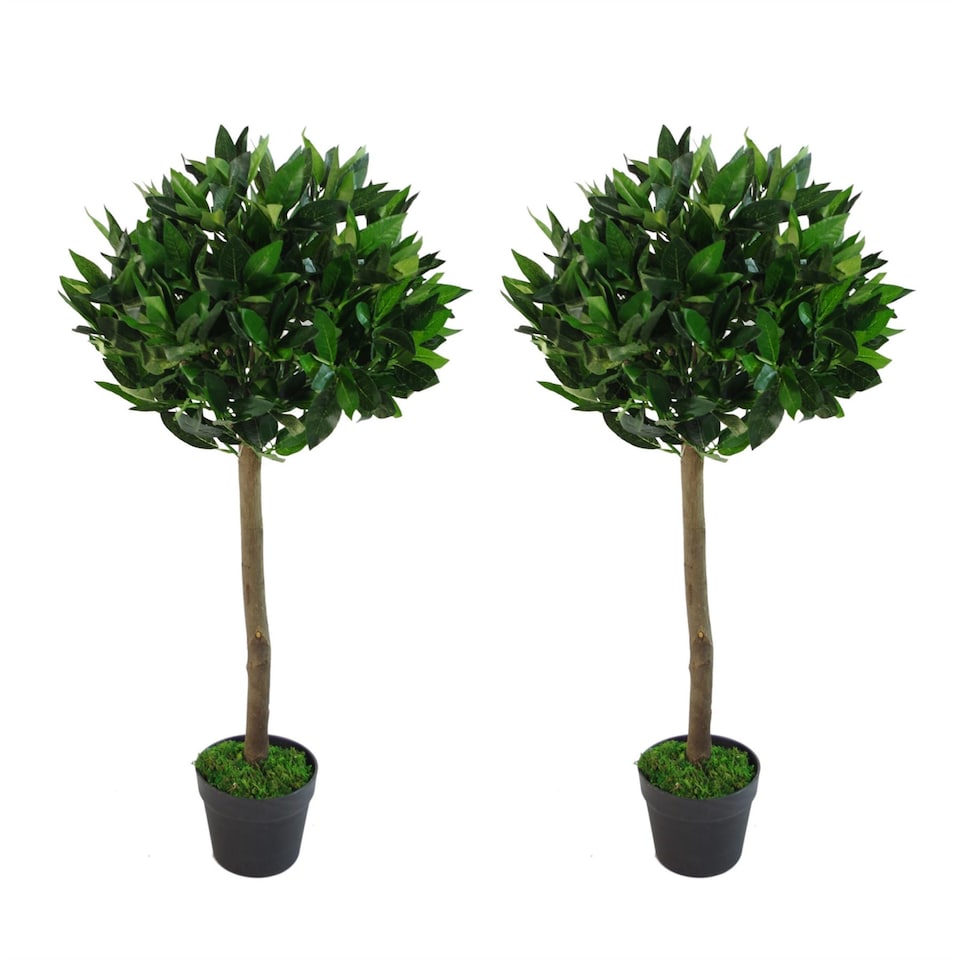 image 1 of Pair of 90cm (3ft) Plain Stem Artificial Topiary Bay Laurel Ball Trees | Green | 3ft