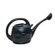 image 9 of 5L Garden Patio Ward Watering Can with Rose in Green