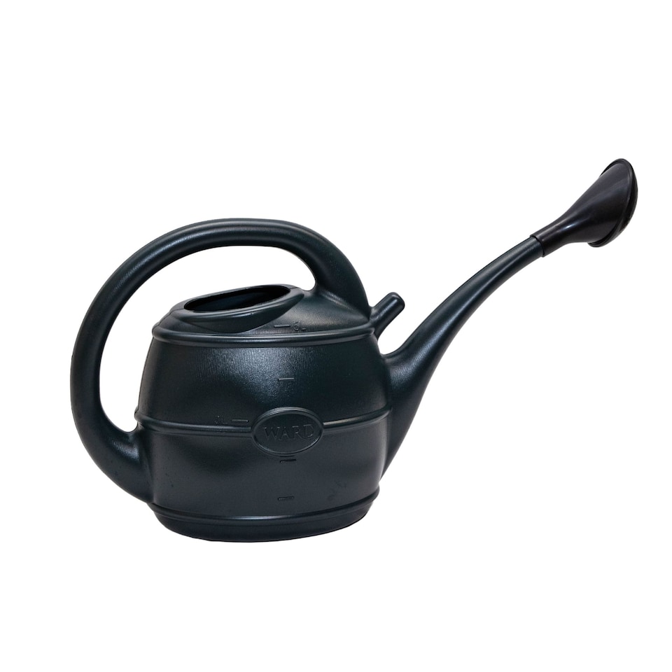 image 1 of 5L Garden Patio Ward Watering Can with Rose in Green