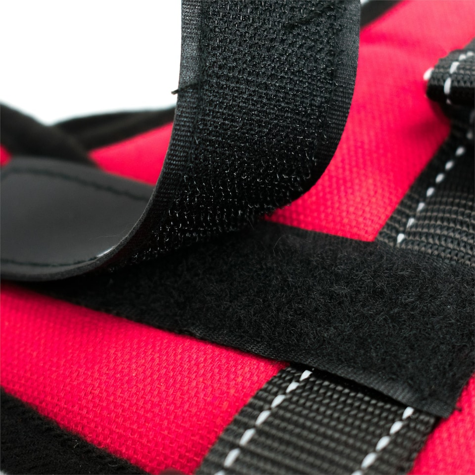 image 1 of KCT Large Red Padded Dog Harness Red | L