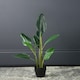 image 2 of 78Cm Real Touch Bird Of Paradise in Black Plastic Pot Green | One Size
