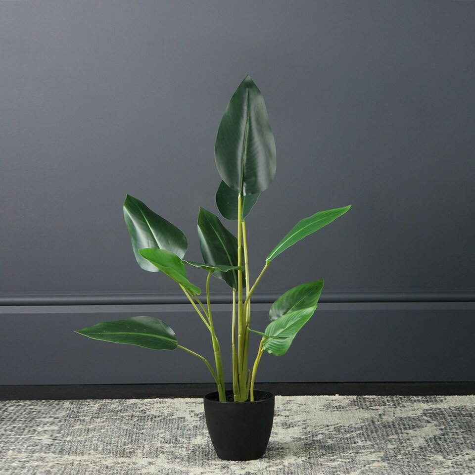 image 1 of 78Cm Real Touch Bird Of Paradise in Black Plastic Pot Green | One Size