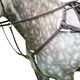 image 1 of Salisbury Leather Stitch Horse Breastplate - Australian Nut - Pony