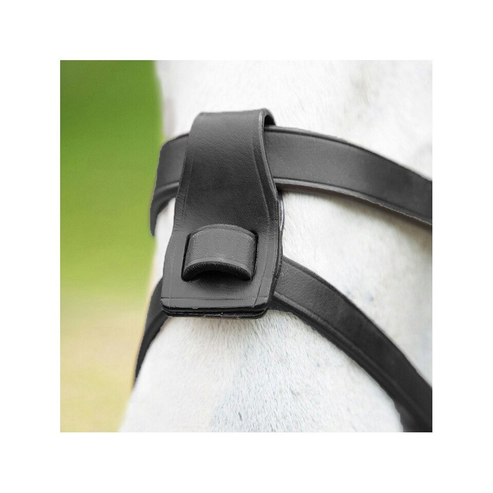 image 1 of Blenheim Leather Horse Flash Attachment - Black - One Size