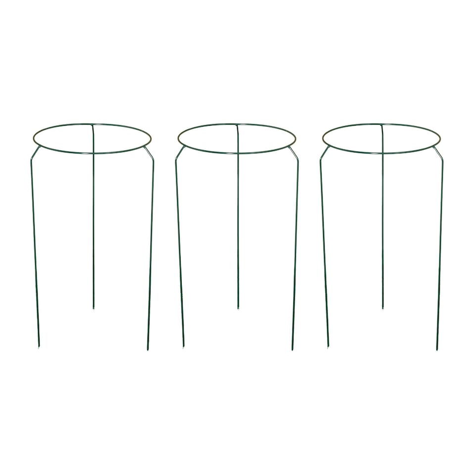 image 1 of Pack of 3 Tom Chambers Urban Metal Herbaceous Garden Plant Support Ring Medium 30cm x 50cm