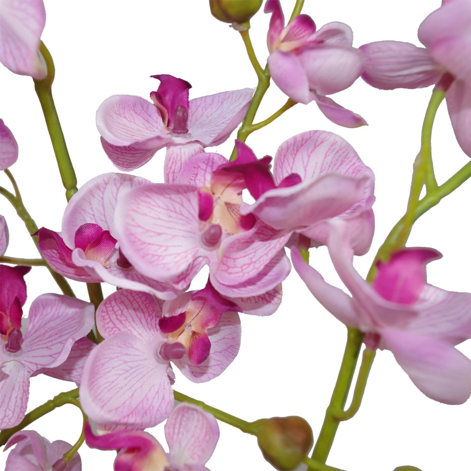 image 1 of 60cm Leaf Design UK Realistic Artificial Orchid Flower Display in Pot